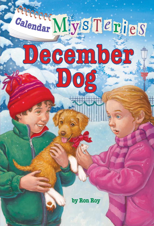 Ron Roy/December Dog